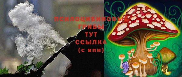 мескалин Богородицк
