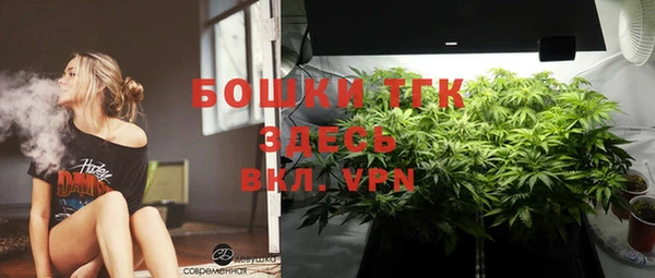 мескалин Богородицк