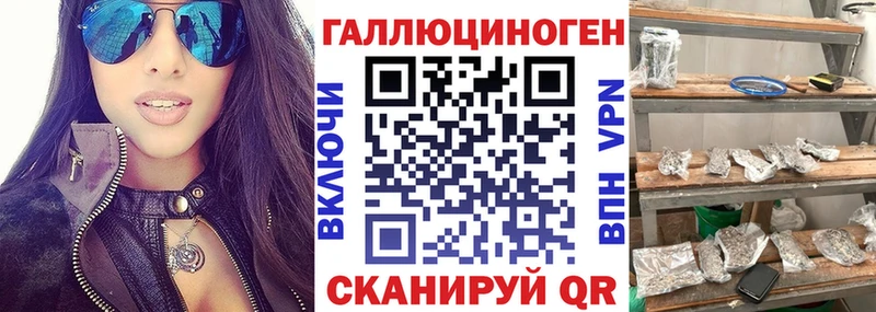 Купить где  Сольвычегодск  Псилоцибиновые грибы GOLDEN TEACHER 